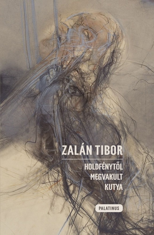 ZALAN_BORITO